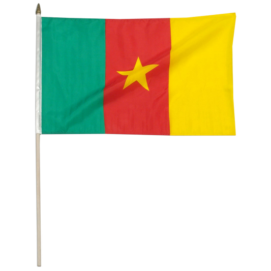 Flag of Cameroon with green, red, and yellow stripes and a yellow star on a white background