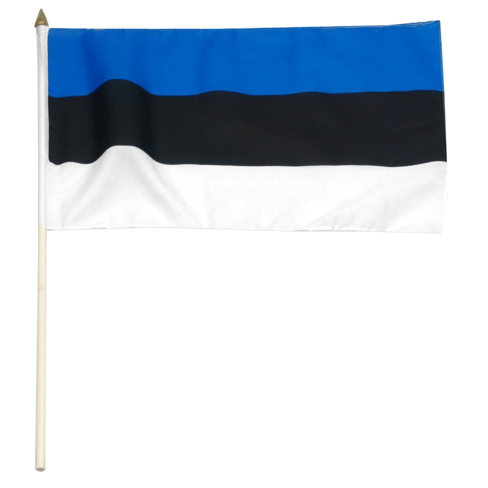 Estonia flag with blue, black, and white stripes on a white background