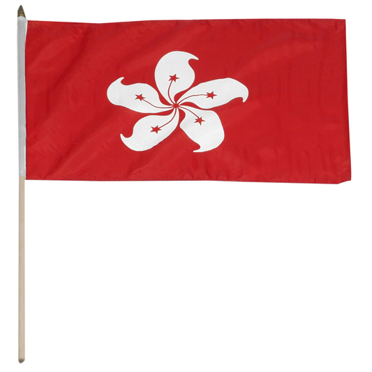 Hong Kong flag with a white flower design on a red background