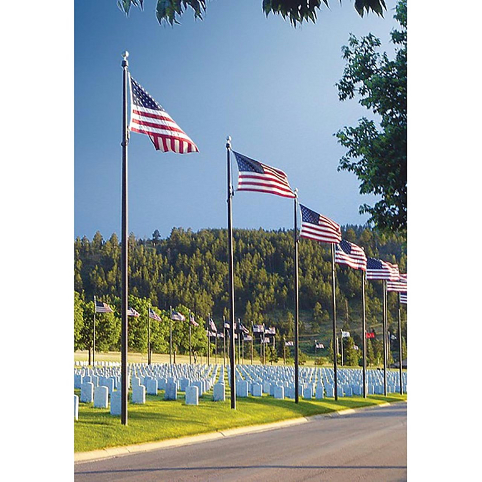A cemetery with numerous flagpoles with American flags