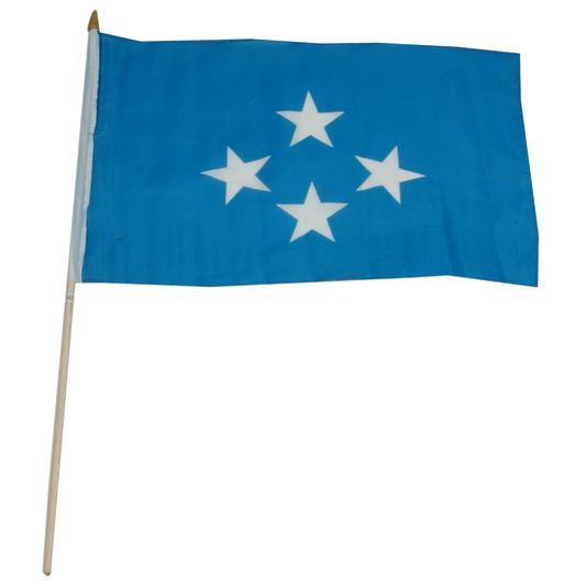 Micronesia 12 x 18 Inch Flag