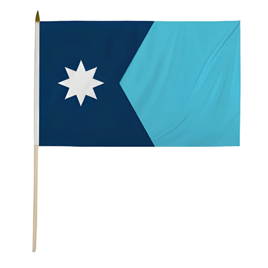 Minnesota state flag with a white star on a blue background
