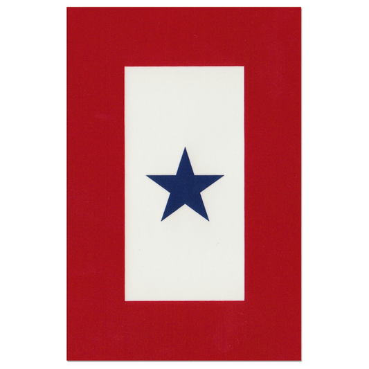 Rectangular military service banner with a blue star on a white background, framed by red border