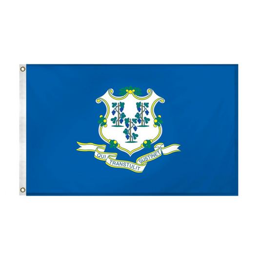 Connecticut state flag with the state coat of arms centered on a blue field, shown flat against a white background. The hoist side has a white header with two metal grommets.