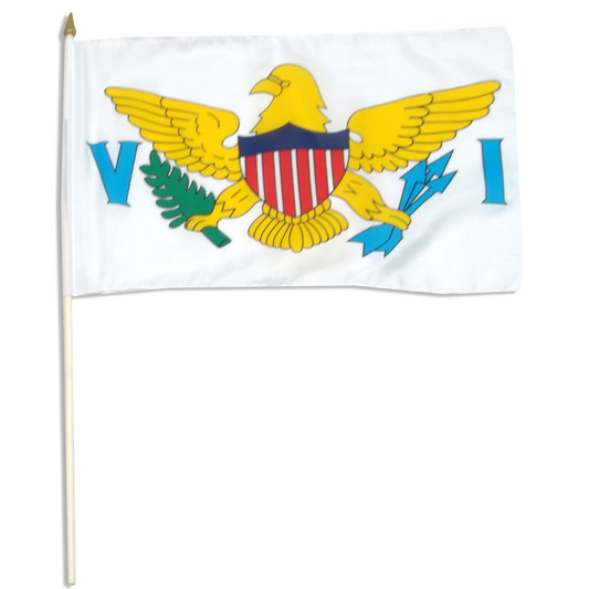 Virgin Islands flag with a yellow eagle, red shield, and blue letters 'VI' on a white background