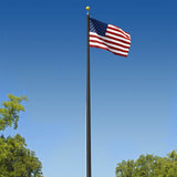 A 25-foot black aluminum flagpole with an American flag flying at the top, set against a backdrop of a lake and trees.