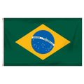 Flag of Brazil with green, yellow, and blue colors on a white background