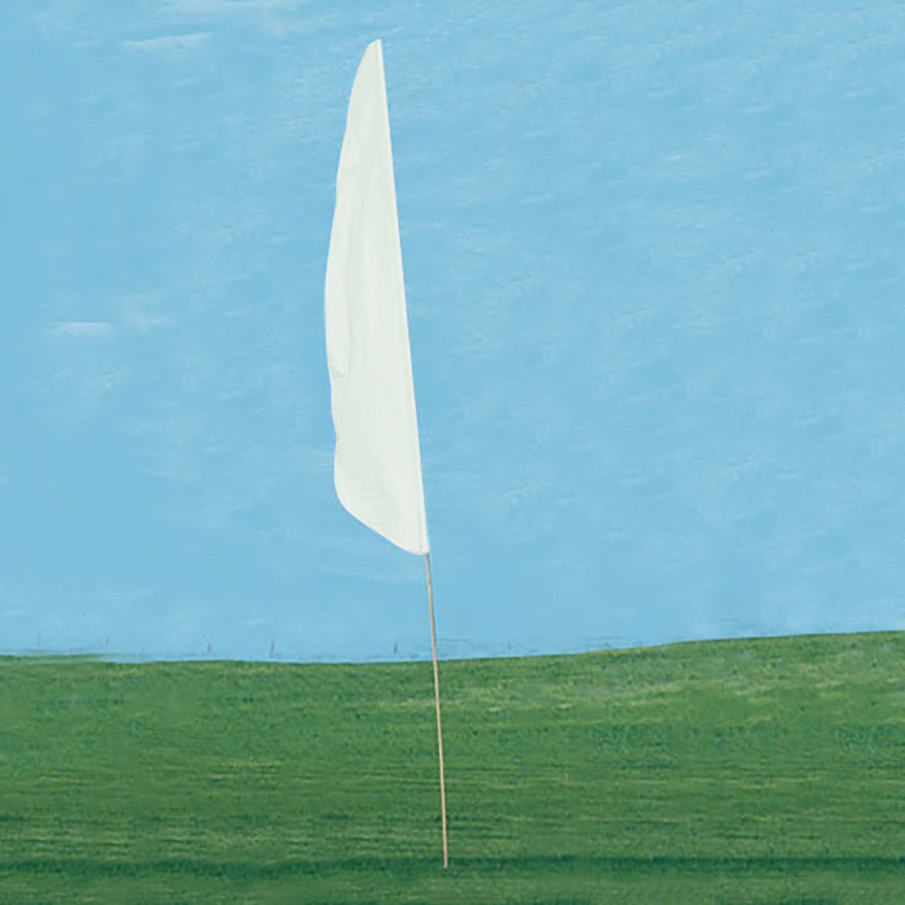 Super Tough Low Cost Feather Banner Flag and Pole Kits