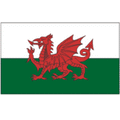 Wales 3ft x 5ft Nylon Flag
