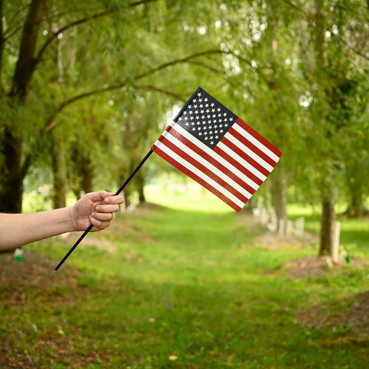 Person holding an American flag in a park with trees and grass.