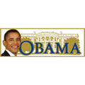Obama sticker with the White House in the background