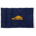 Oregon Flag 5 x 8 Feet Nylon