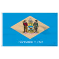 Delaware 8ft x 12ft Nylon Flag