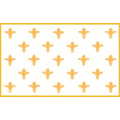 Fleur De Lis 3ft x 5ft Nylon flag