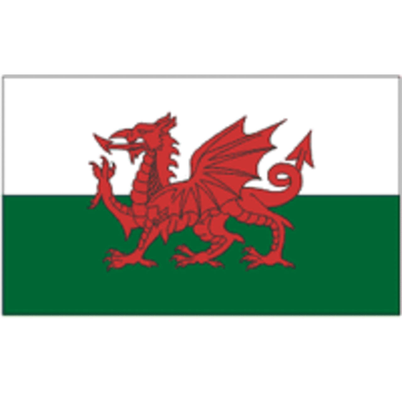 Wales 2ft x 3ft Nylon Flag