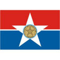 Dallas 4' X 6' Nylon Flag