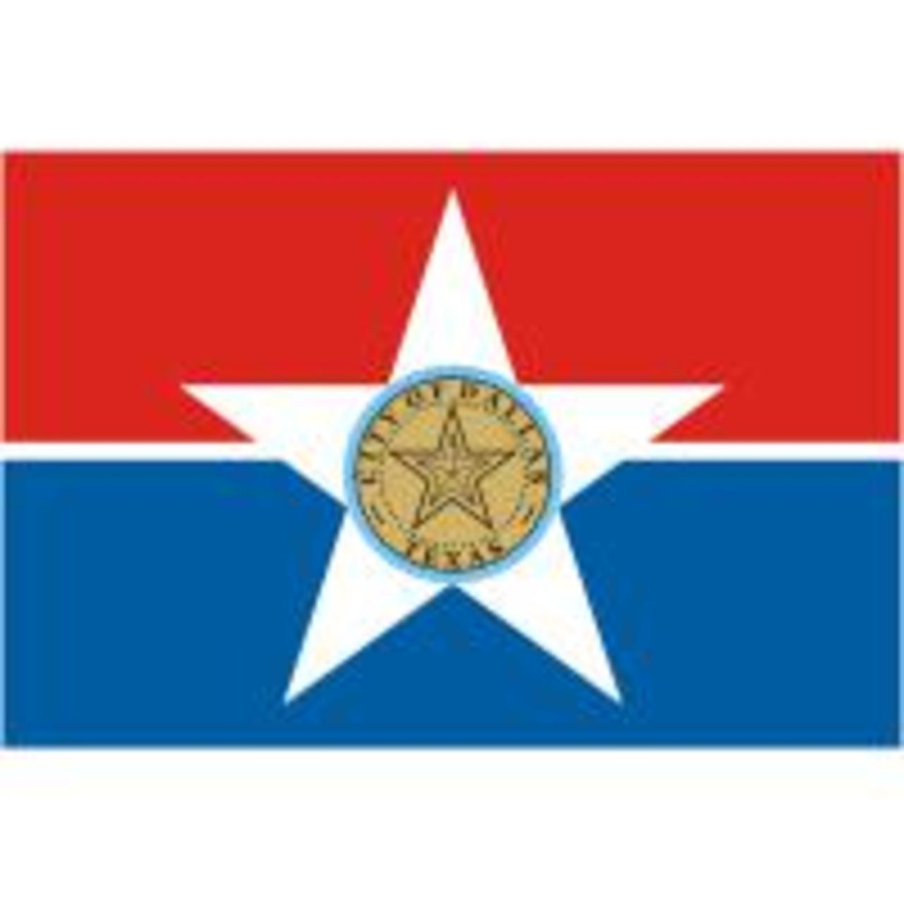 Dallas 4' X 6' Nylon Flag