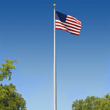 A clear polisher, heavy-duty residential flagpole standing 25ft tall, with an American flag attached and set against a backdrop of a lake and trees.