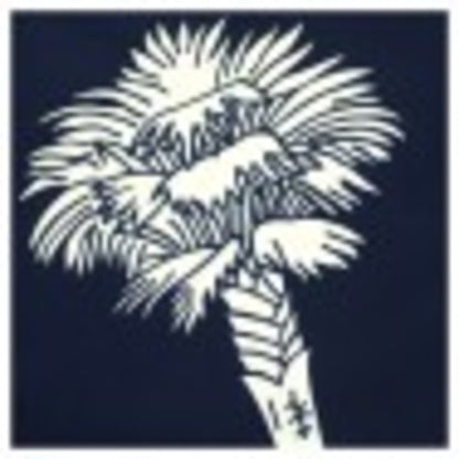 South Carolina 4ft. x 6ft. Spectra Pro Flag