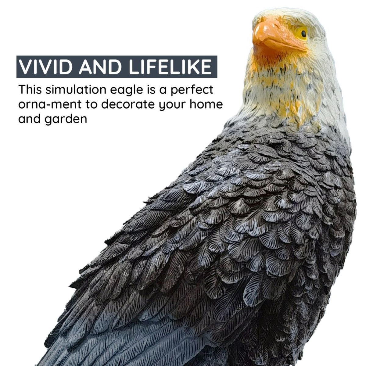 Bald eagle statue on a rock base with size diagram and detail insets