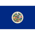 OAS 3' x 5' Nylon Flag