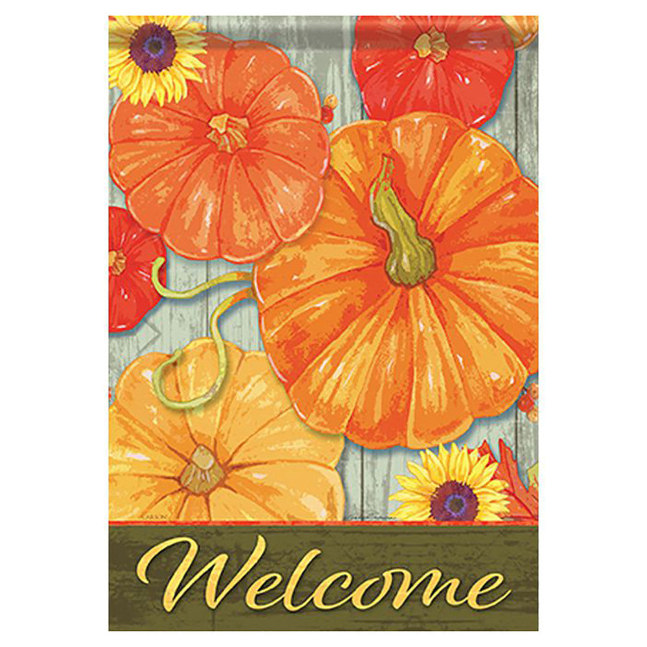 Carson Fall Banner Flag - Aerial Pumpkins - 28in x 40in