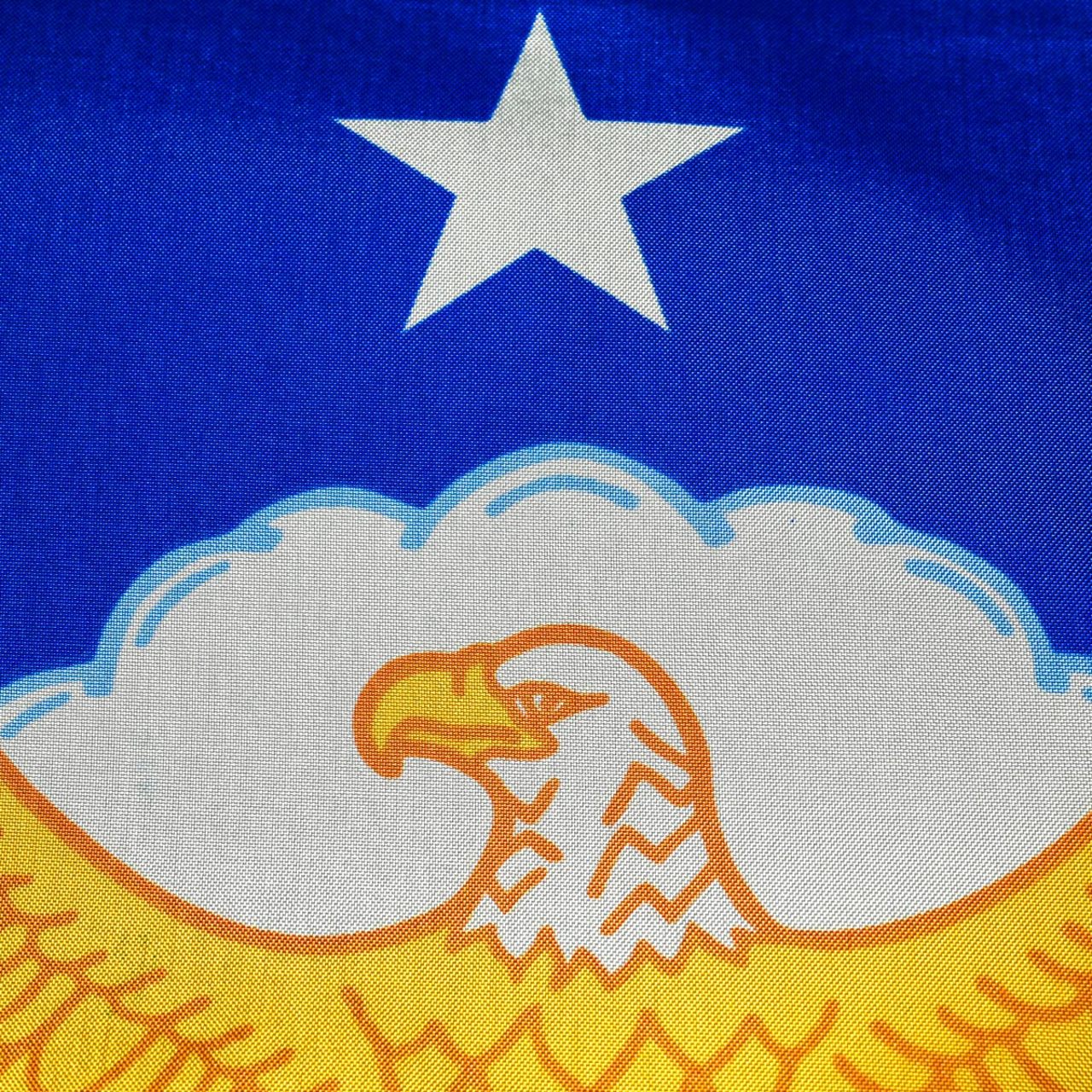 Airforce 4ftx6ft Flag with Indoor Pole Hem and Fringe