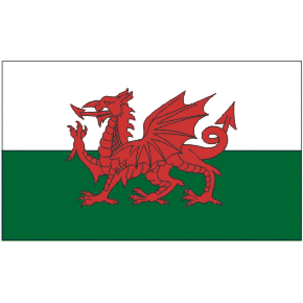 Wales 3ft x 5ft Printed Polyester Flag