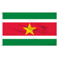 Suriname 5' x 8' Nylon Flag