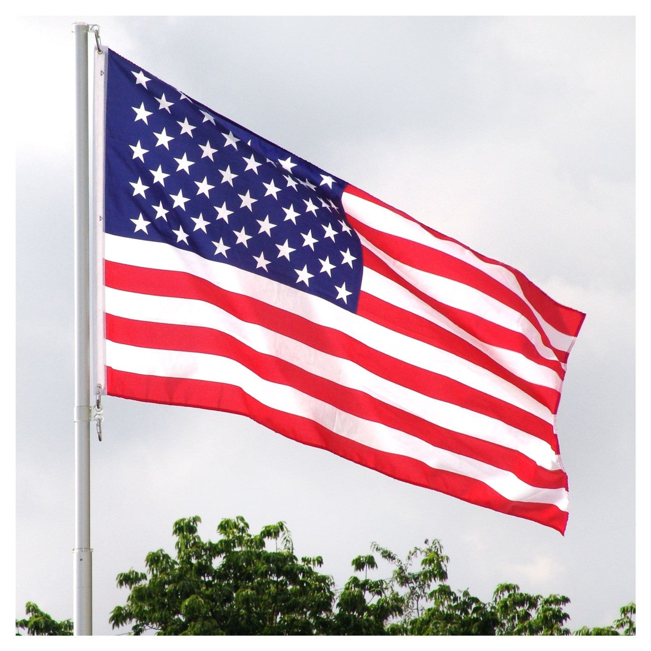 TopFlight Telescoping 20ft Flag Pole