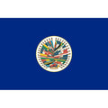 OAS 6' x 10' Nylon Flag