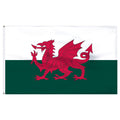 Wales 6' x 10' Nylon Flag