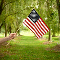 Person holding an American flag in a park with trees and grass in the background