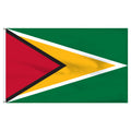 Guyana 6' x 10' Nylon Flag