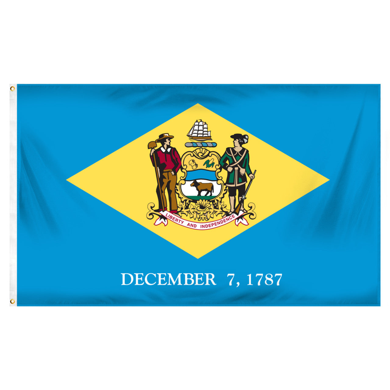 Delaware 3ft x 5ft Printed Polyester Flag