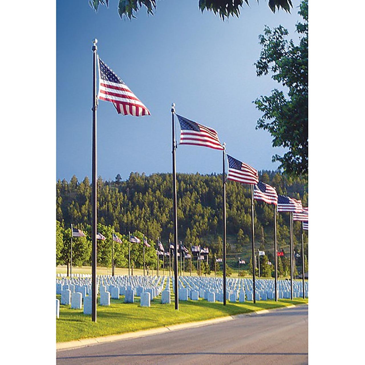 Sentry II Series 35ft Commercial Flagpole - .156in Wall Thickness - 6in Butt Diameter
