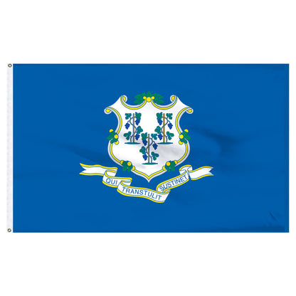 Connecticut Flag 3x5ft Nylon